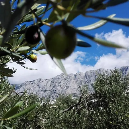 Appartement Apartmani Sabic